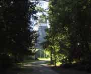 Subtropischer Dschungel in Tikal, im Hintergrund die Rckfront von Tempel I