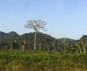 Auf dem Weg zum Rio Usumacinta