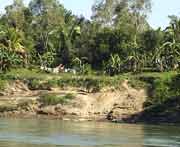 Mayasiedlung am Rio Usumacinta